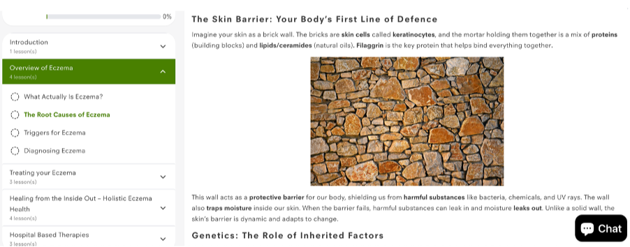 The Eczema Course